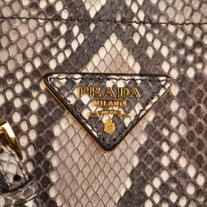 Prada Python Large Double Bag Roccia 6 of 10