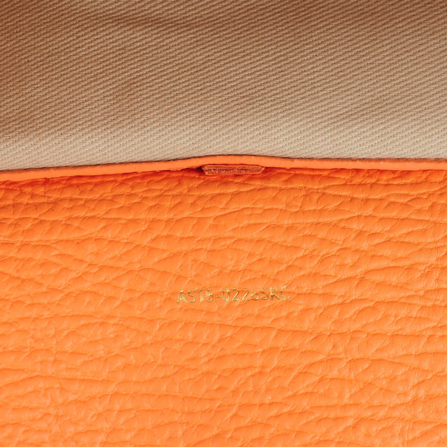 3.1 Textured Calfskin Mini Pashli Satchel Melon