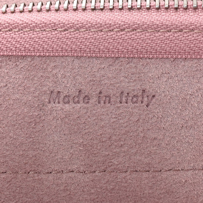 Celine Grained Calfskin Nano Belt Bag Vintage Pink 6 of 10