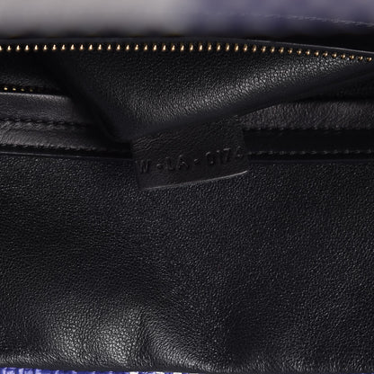 Celine Gingham Woven Medium Phantom Luggage Cobalt 7 of 10