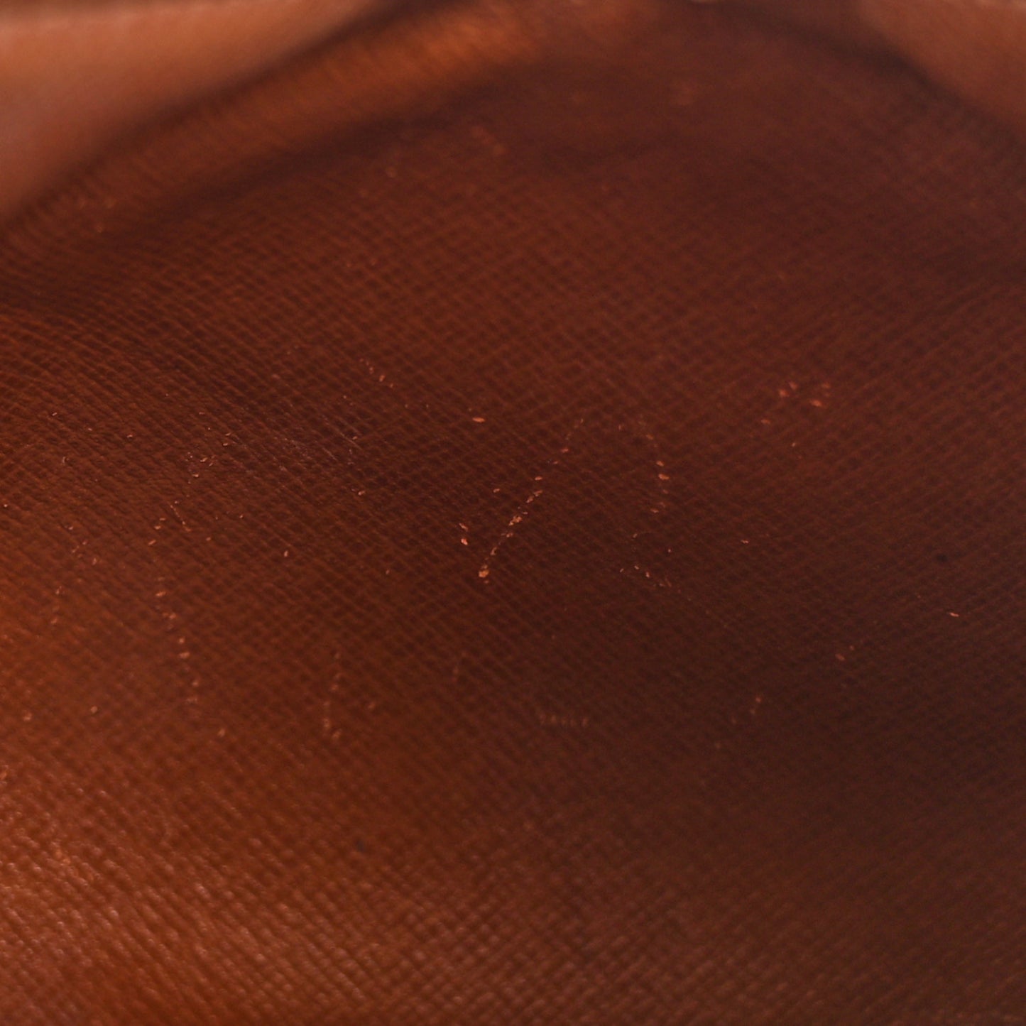Monogram Papillon 26