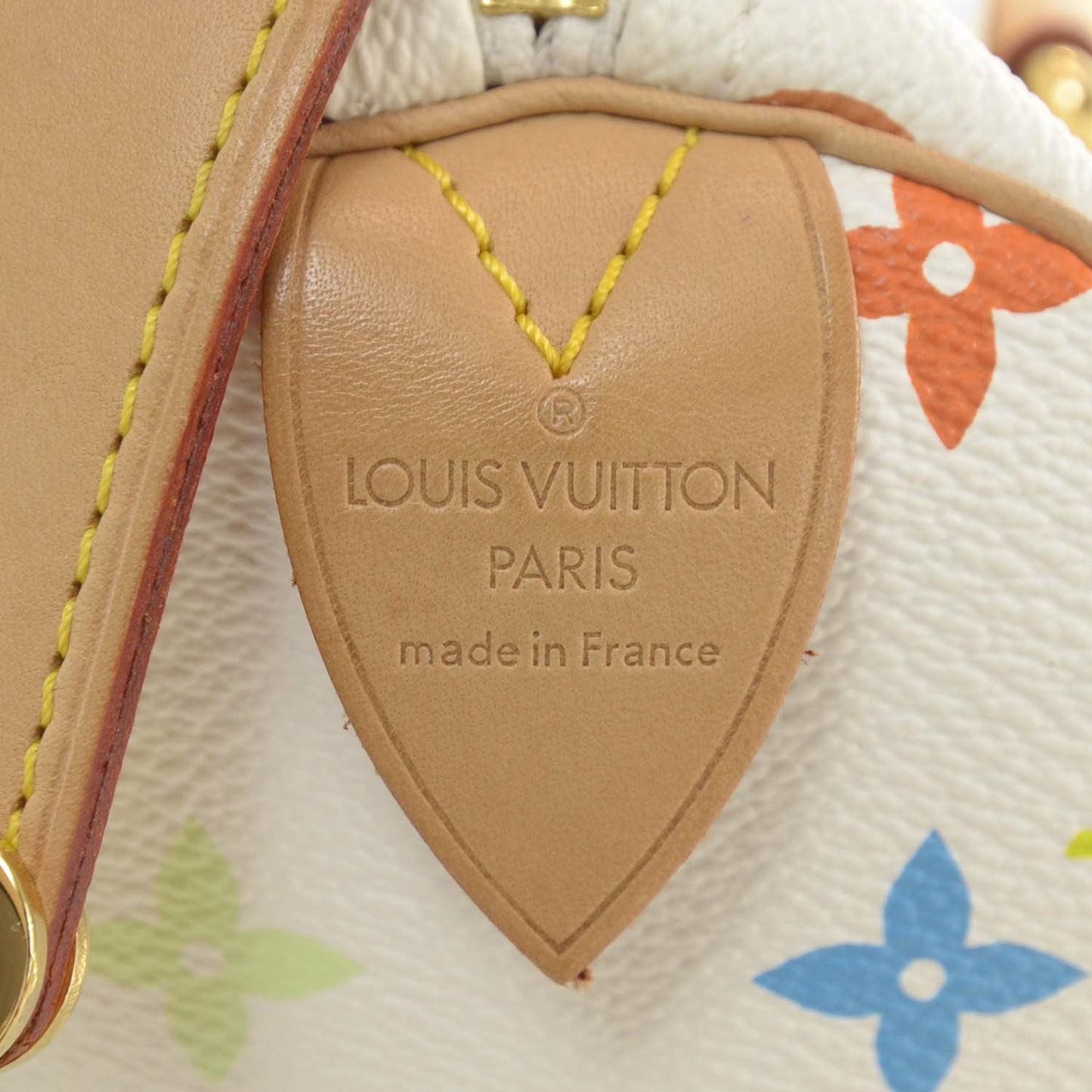 Monogram Multicolor Speedy 30 White