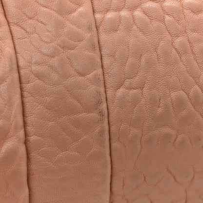 Alexander Wang Pebbled Lambskin Mini Rockie Latte Gold Hardware 14 of 14