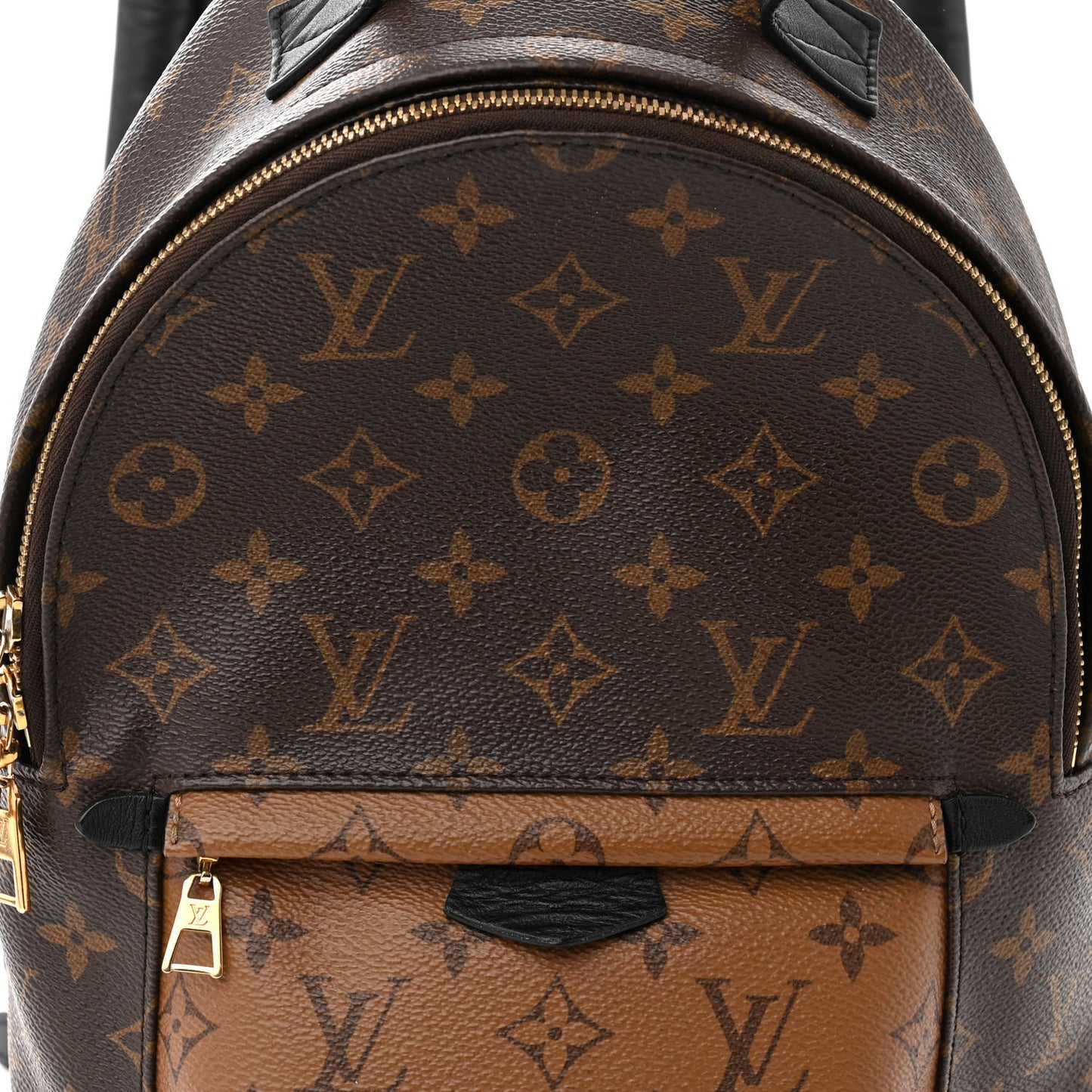 LOUIS VUITTON Reverse Monogram Palm Springs Backpack PM