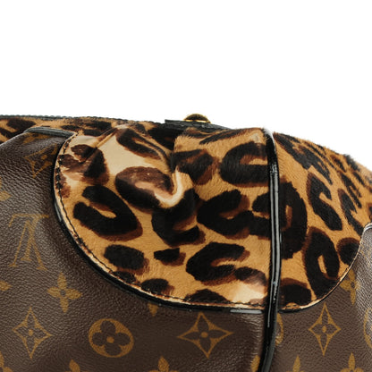 Louis Vuitton Monogram Leopard Stephen Bag 12 of 12