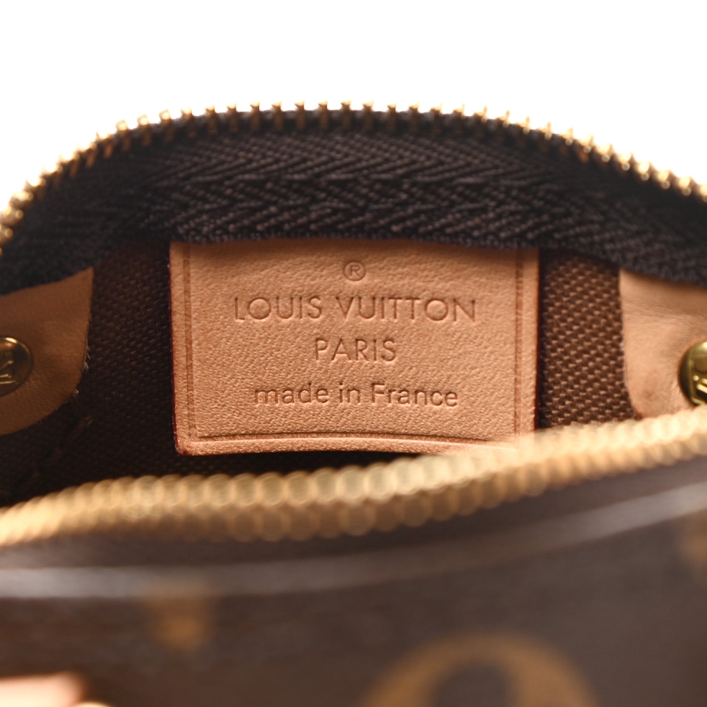 Monogram Nano Speedy