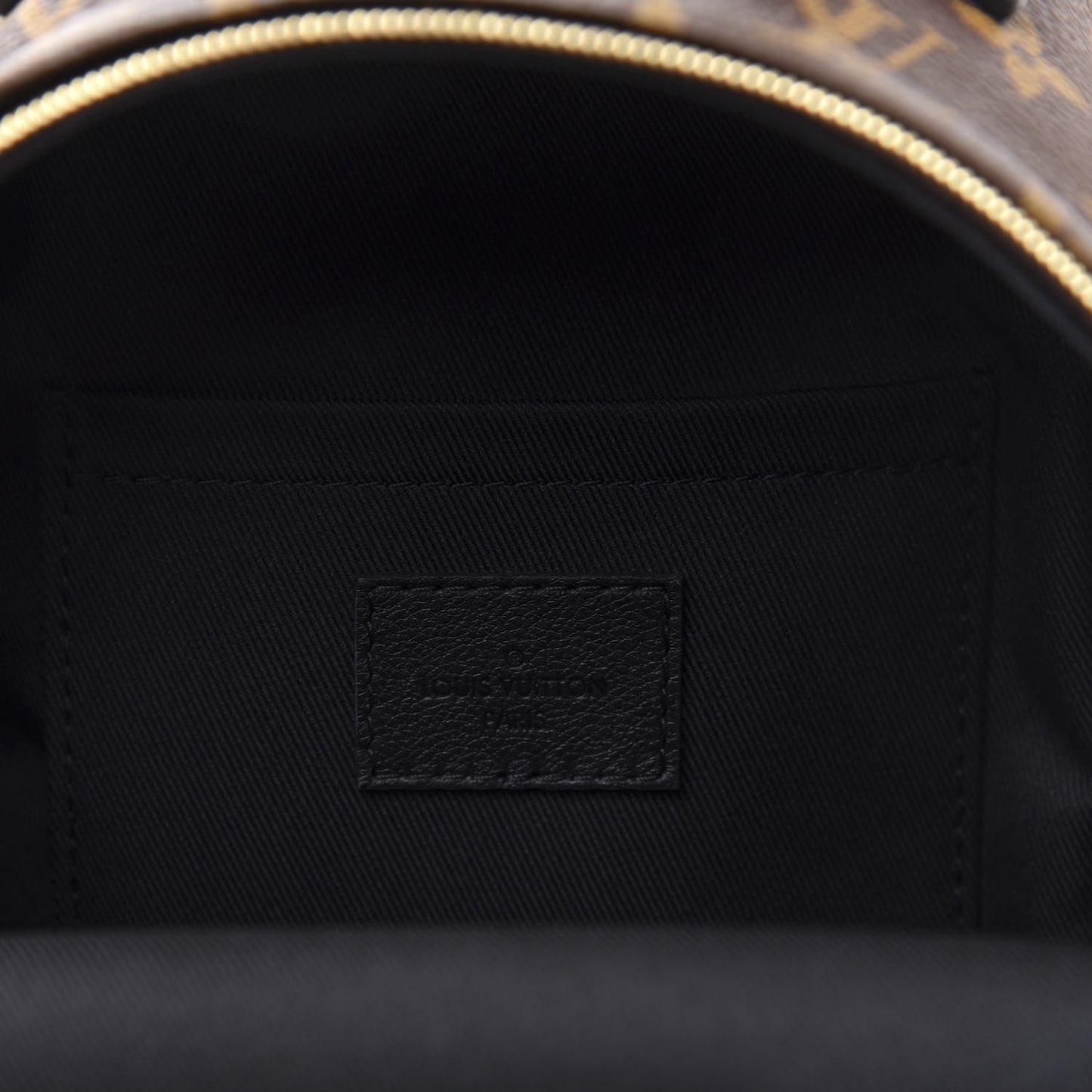 Monogram Palm Springs Backpack Mini
