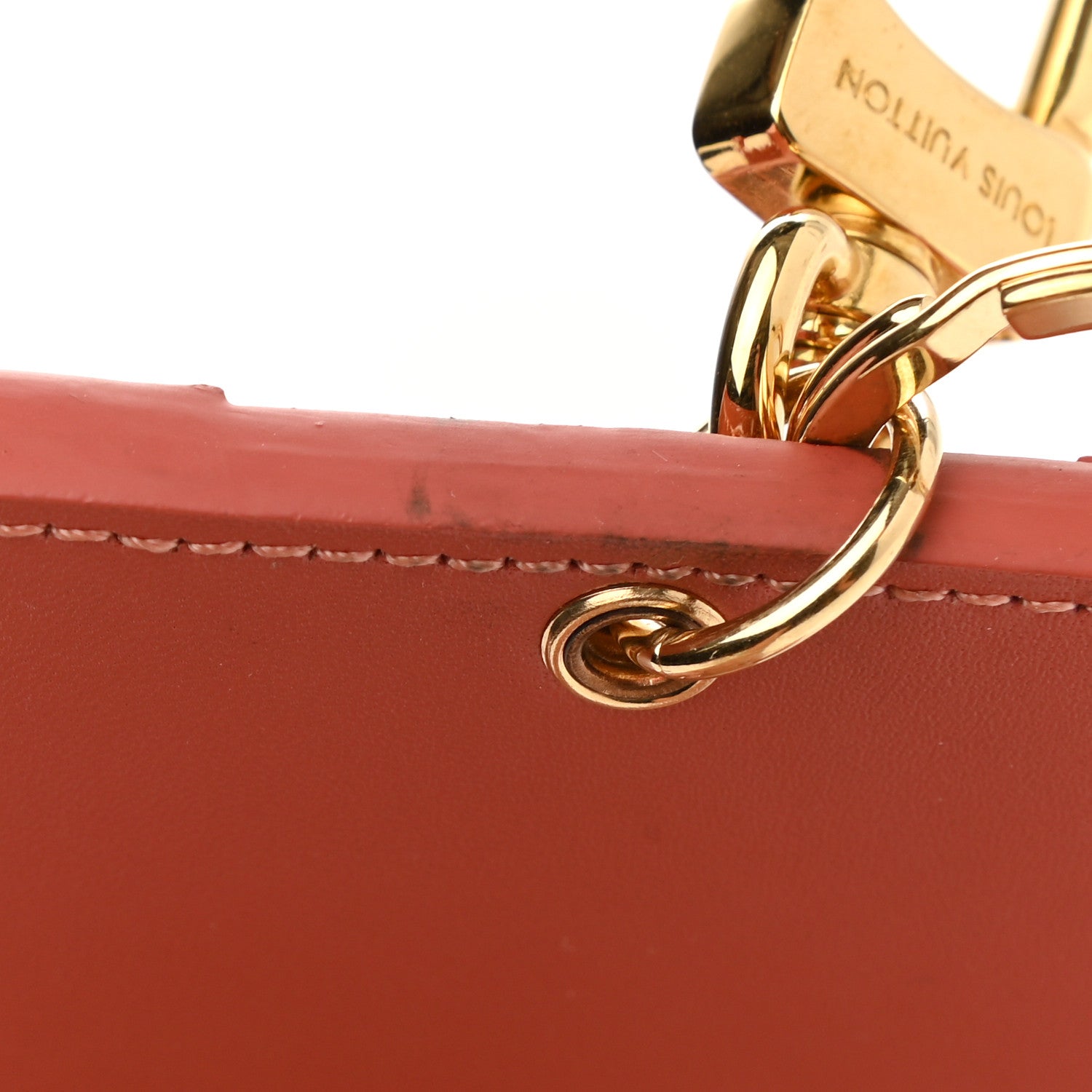 Louis Vuitton Vernis Valentine Dog Bag Charm Key Ring 5 of 5