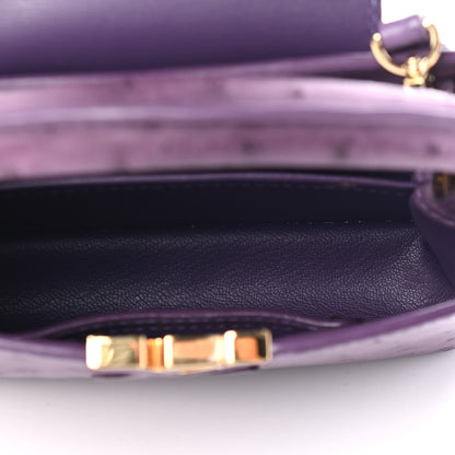 Louis Vuitton Ostrich Capucines Mini Amethyst 4 of 4