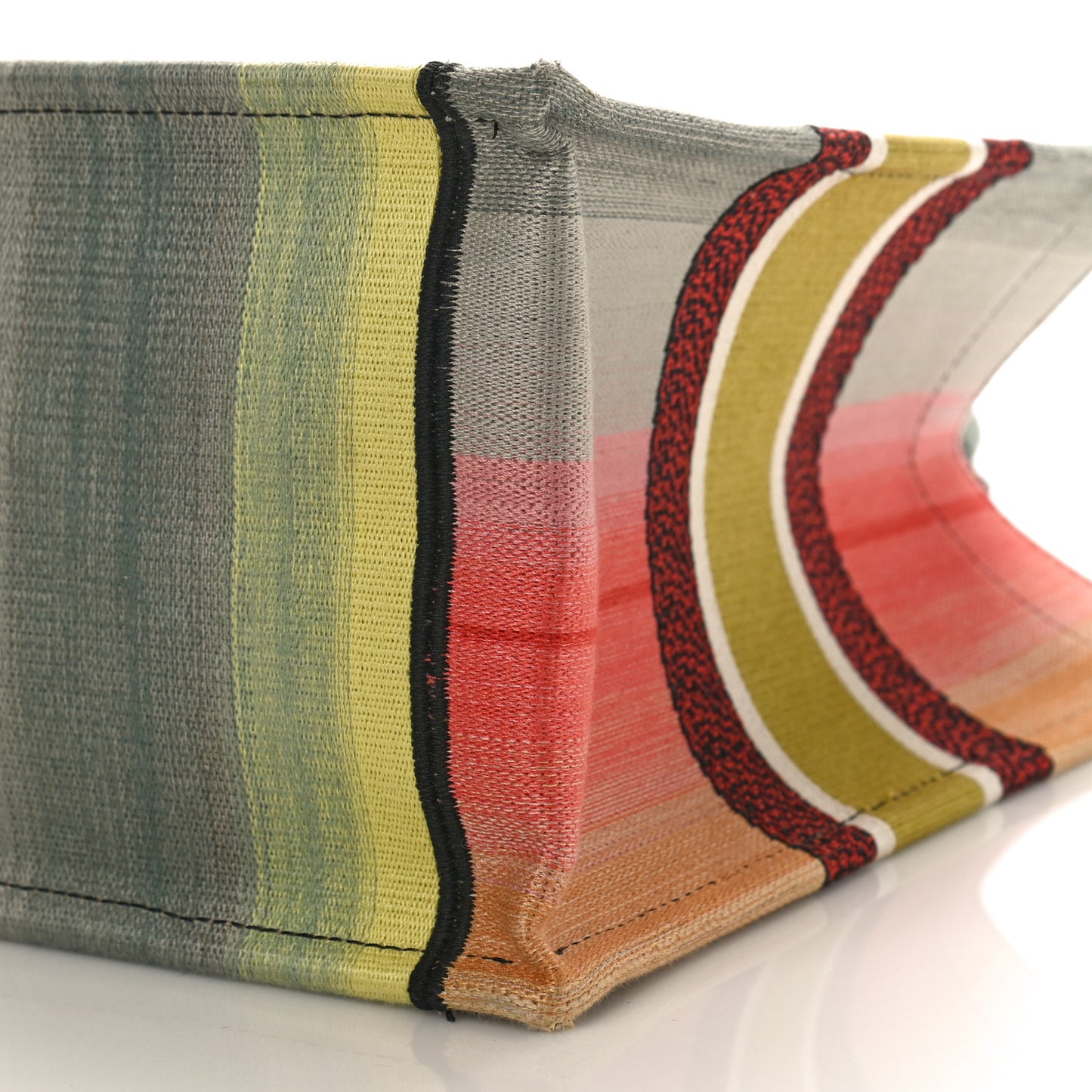 Canvas Embroidered Medium Dioraura Book Tote Multicolor