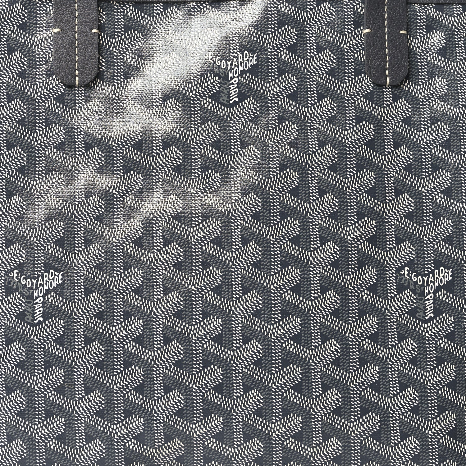 Goyard Goyardine Saint Louis PM Grey 8 of 10