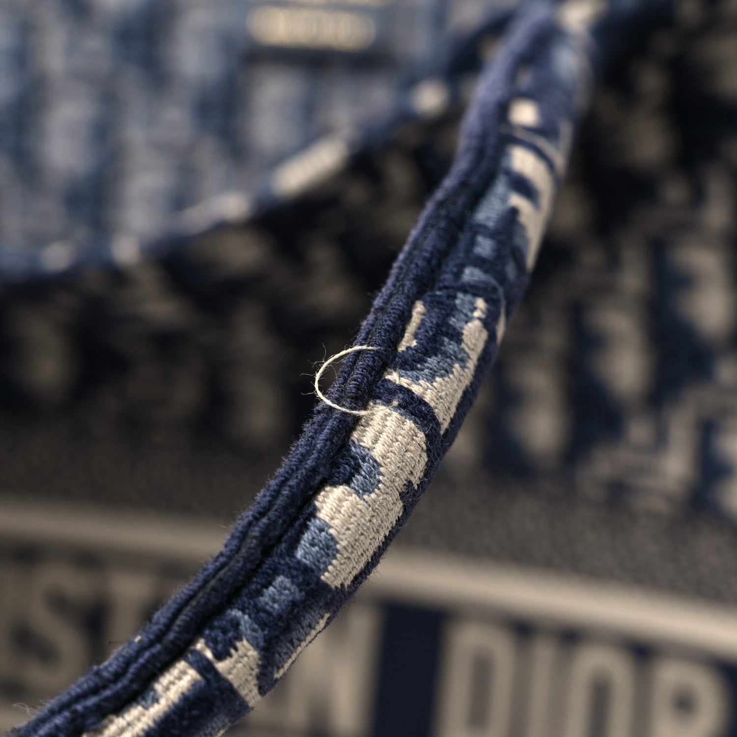 Christian Dior Oblique Large Book Tote Blue Multicolor 17 of 17