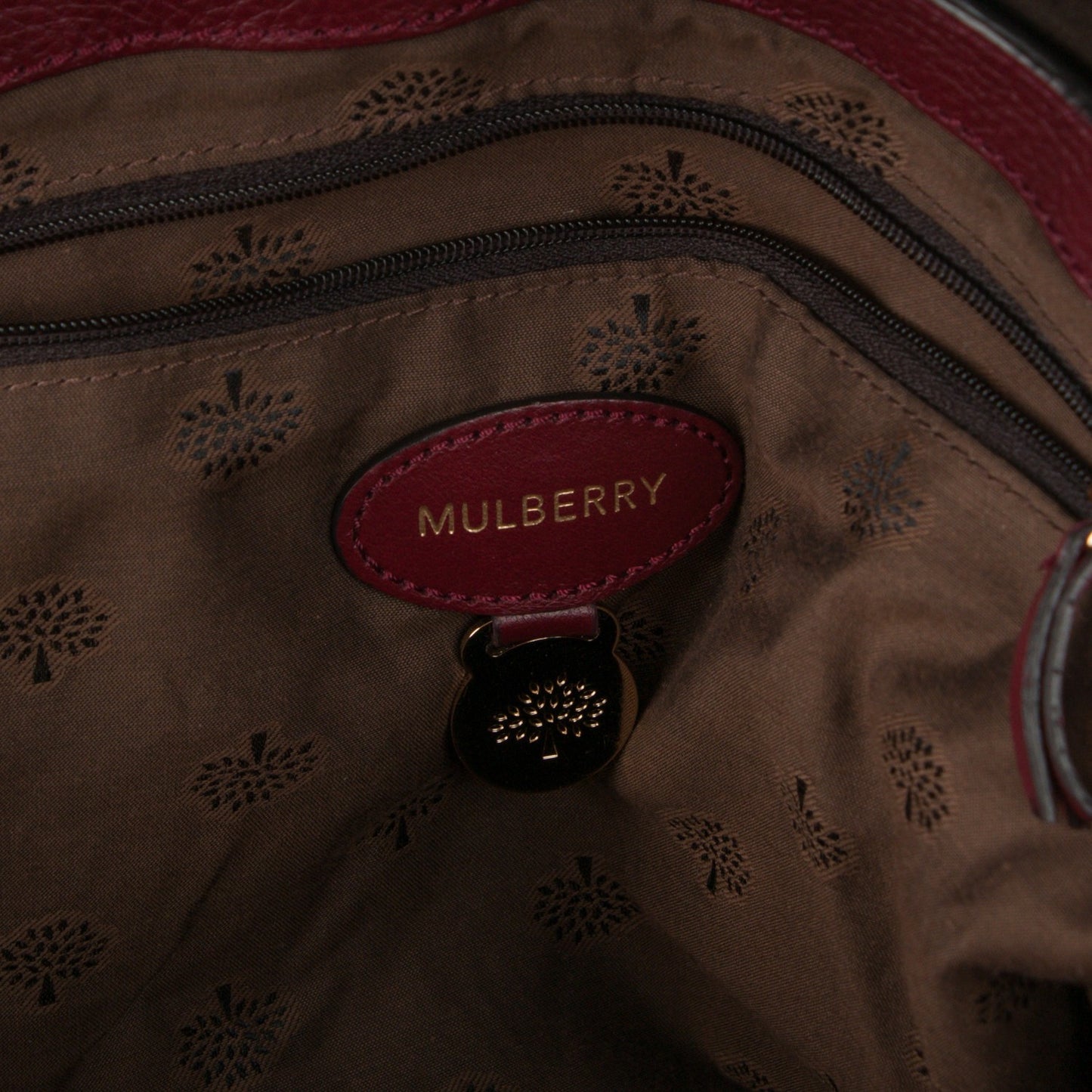 Polished Buffalo Medium Alexa Tassel Satchel Conker