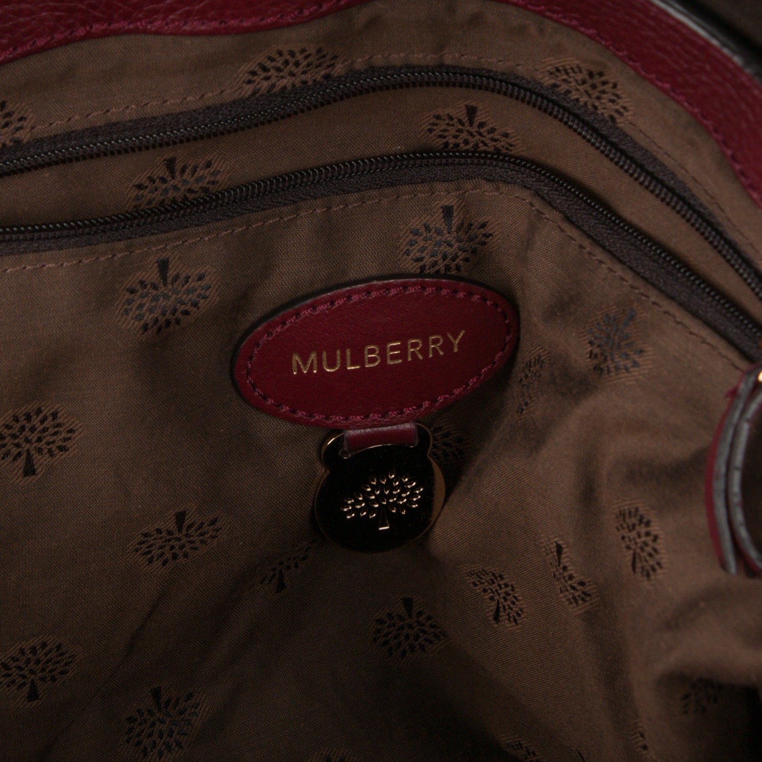Mulberry Polished Buffalo Medium Alexa Tassel Satchel Conker 6 of 10