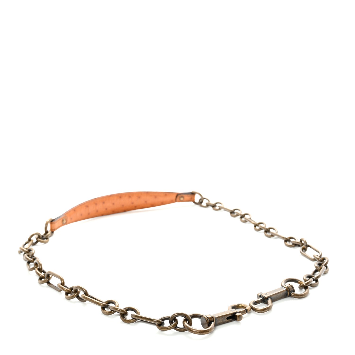 Louis Vuitton Ostrich Oskar Waltz Chain Shoulder Strap 2 of 4