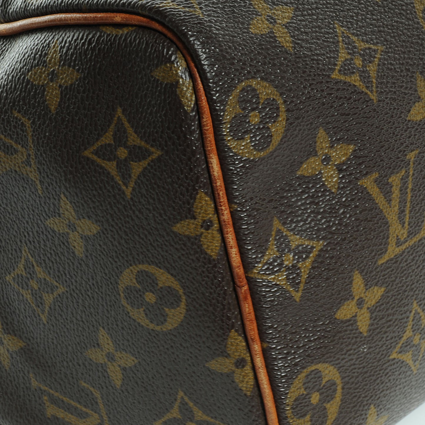 Monogram Speedy 25