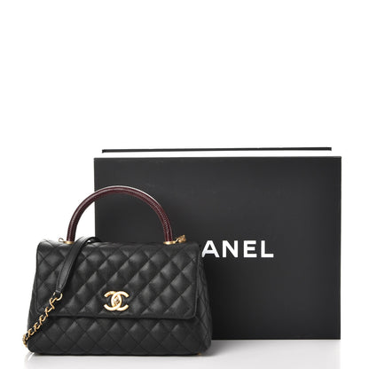 Chanel Caviar Lizard Quilted Small Coco Handle Flap Black 8 of 8