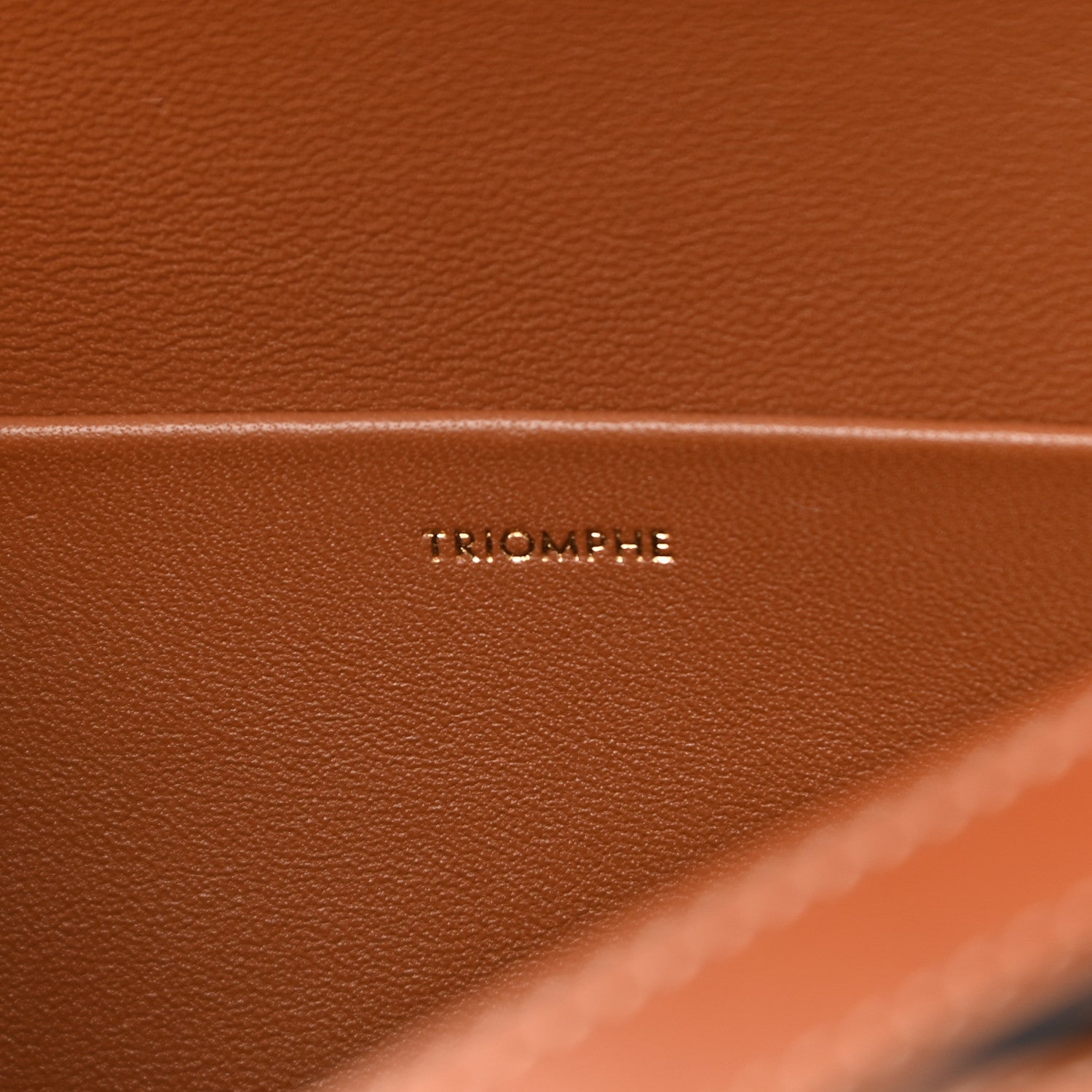 Celine Natural Calfskin Triomphe Shoulder Bag Tan 6 of 10