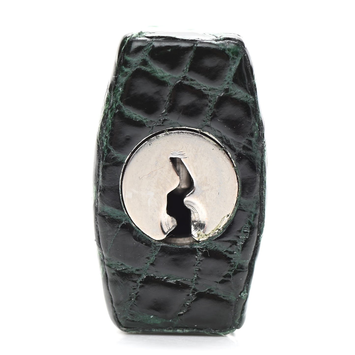 Shiny Niloticus Crocodile Birkin 25 Vert Fonce