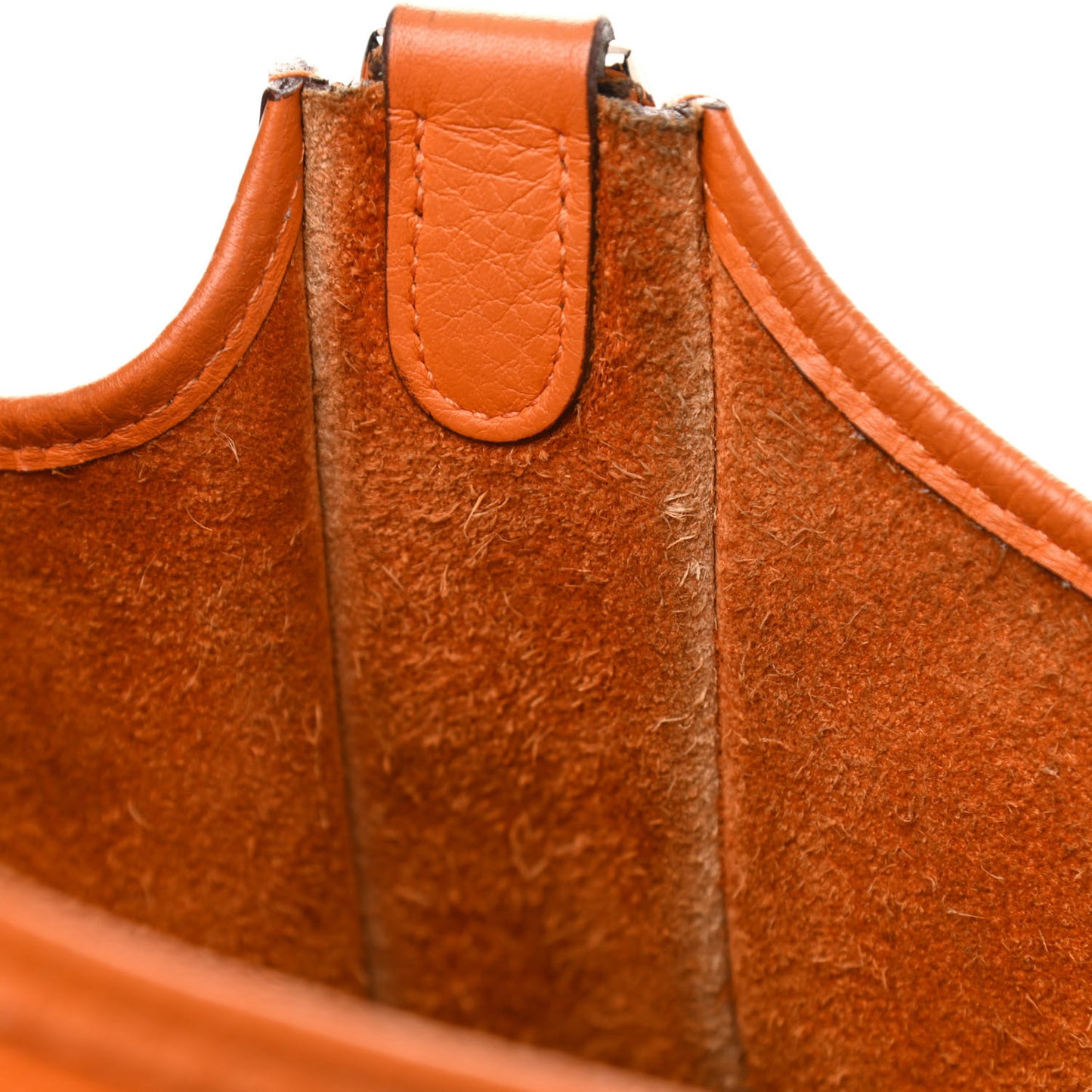 Taurillon Clemence Evelyne PM Orange
