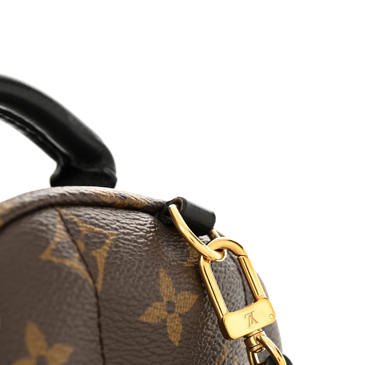 Monogram Palm Springs Backpack Mini
