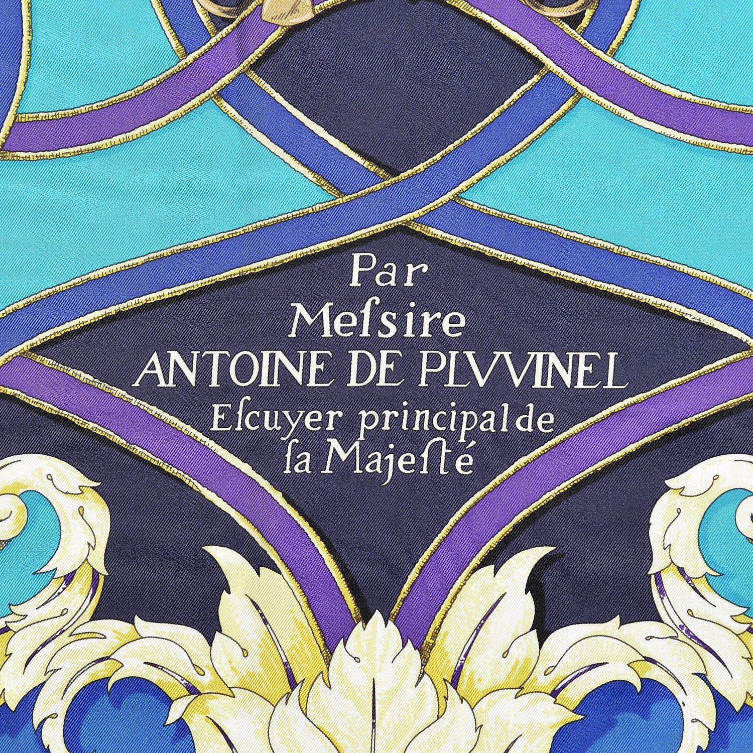 Hermes Silk L'Instruction Du Roy Scarf 90 3 of 8