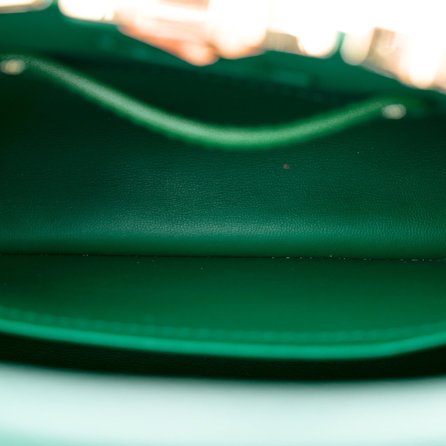 Louis Vuitton Taurillon Embellished Flower Crown Mini Capucines Green 5 of 9