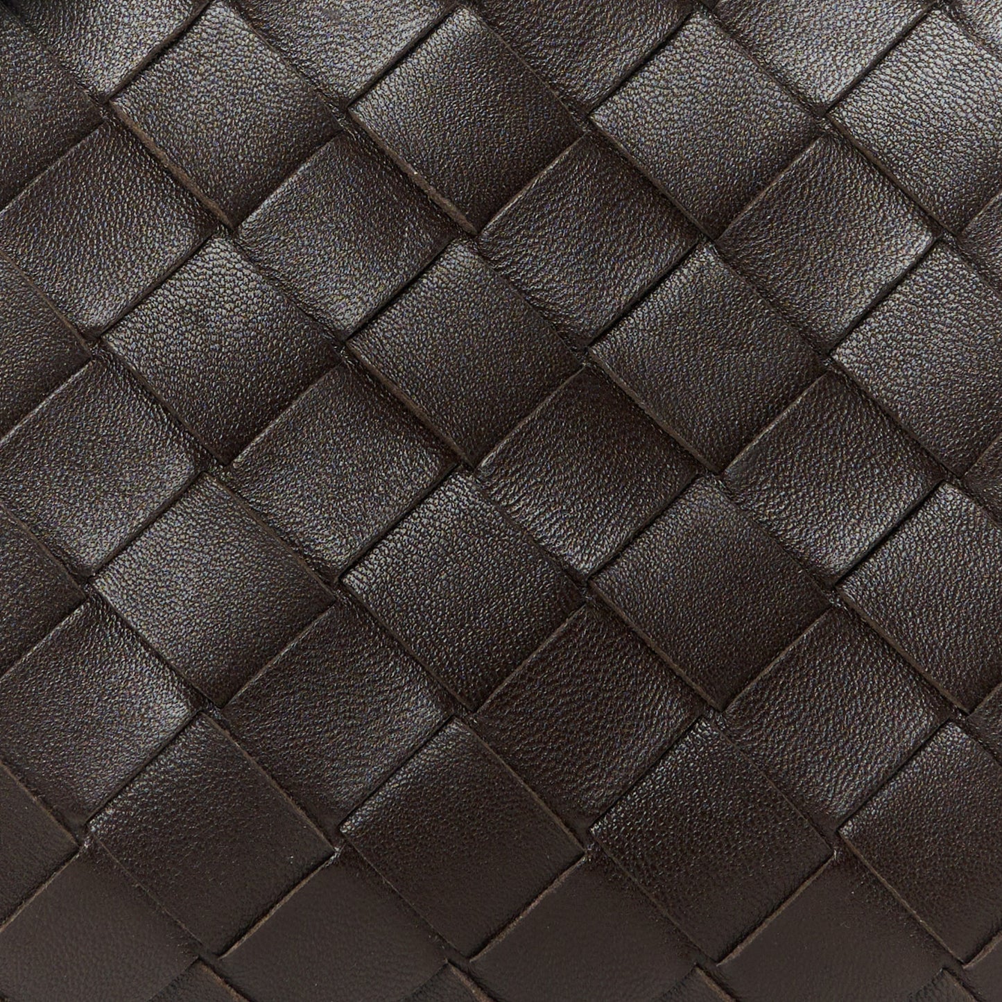 Nappa Intrecciato Concert Pouch Fondant