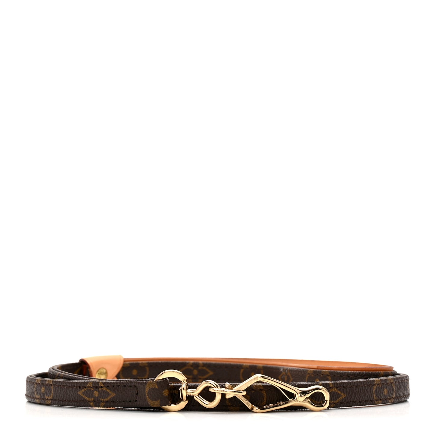 Monogram Baxter Dog Leash MM