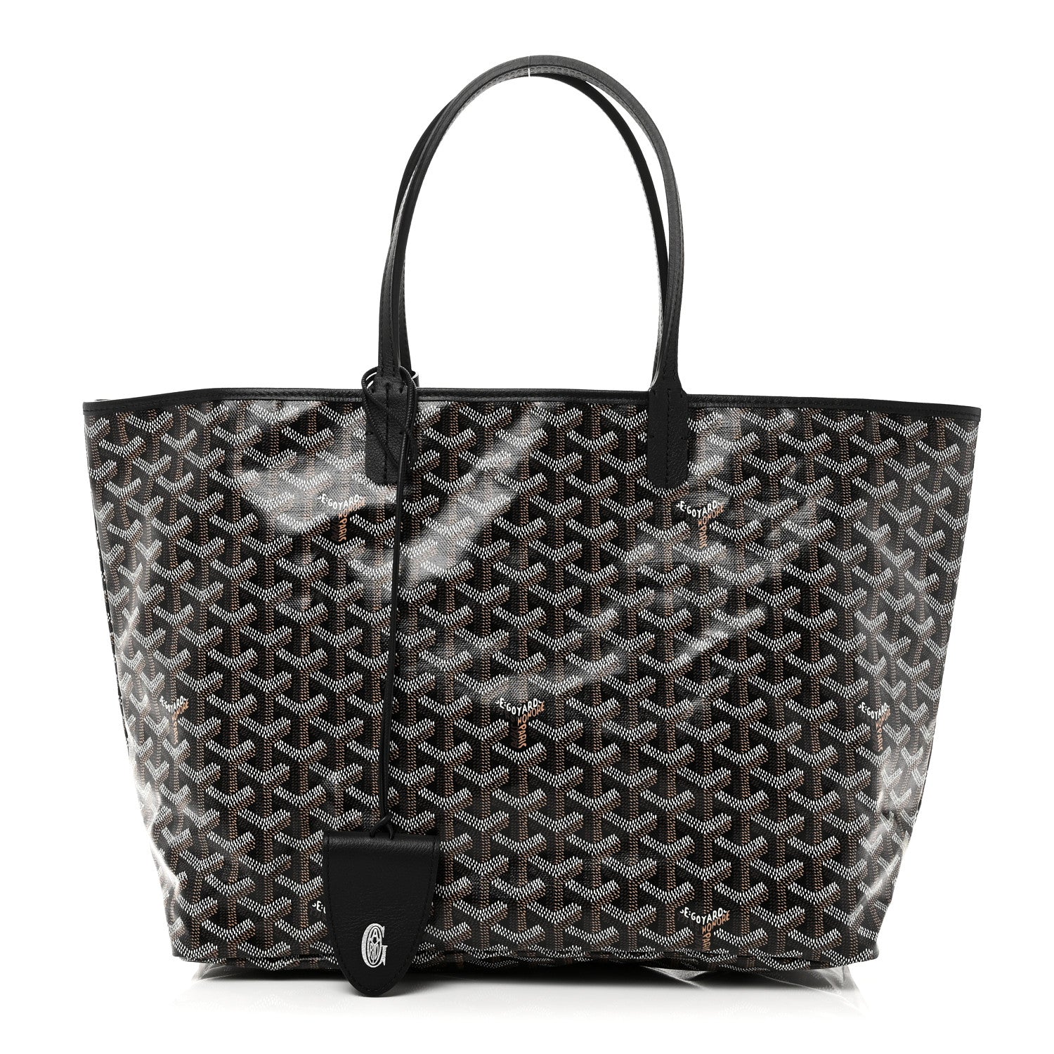Goyard Goyardine Saint Louis PM Black 1 of 11