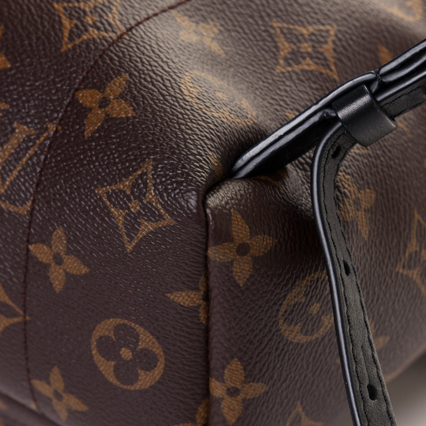 Monogram Palm Springs Backpack PM