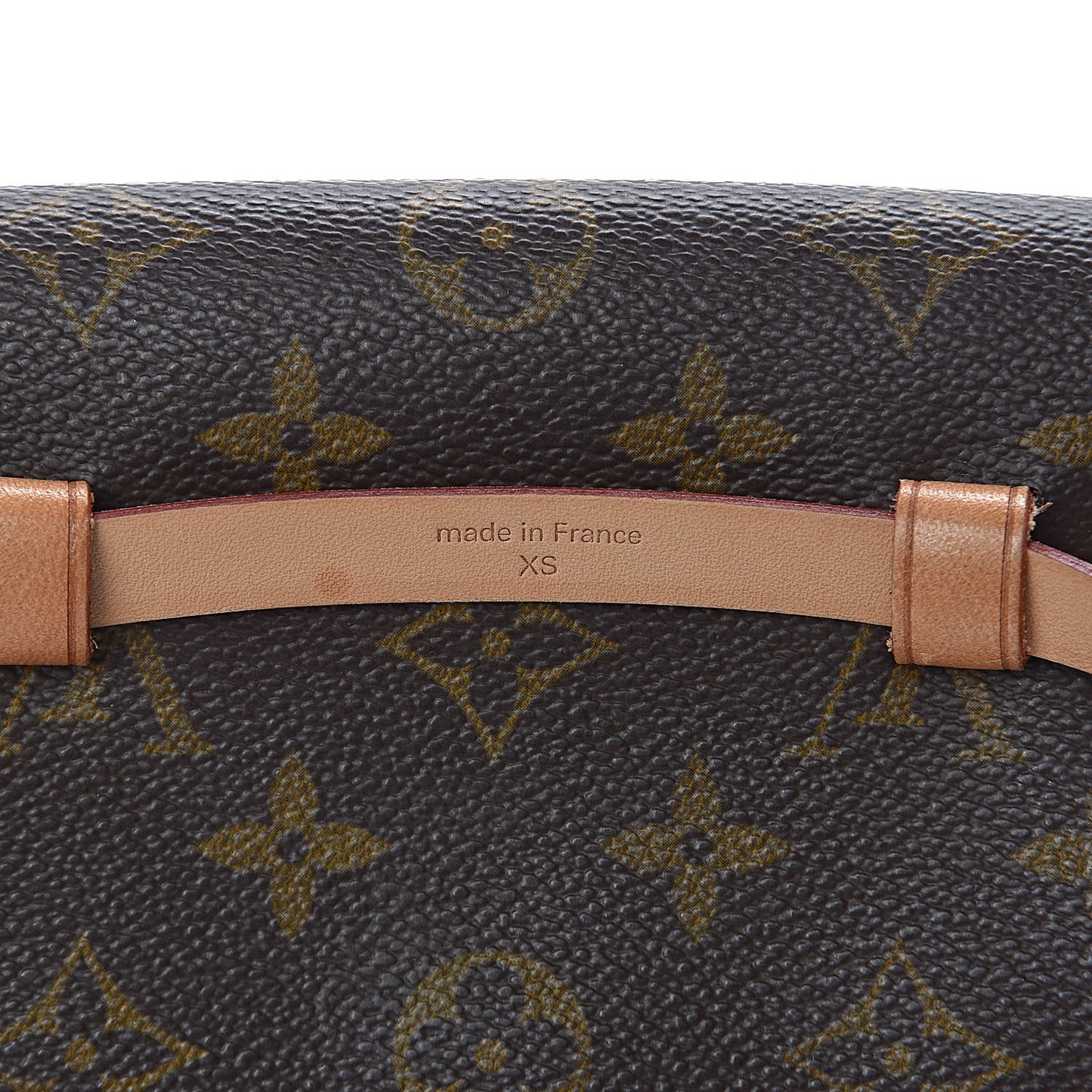 Monogram Pochette Florentine XS