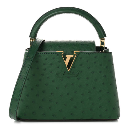 Louis Vuitton Ostrich Capucines Mini Mint 1 of 10