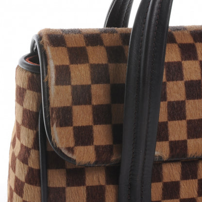 Louis Vuitton Damier Sauvage Lionne 9 of 10