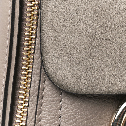 Chloe Suede Calfskin Mini Faye Backpack Motty Grey 13 of 16