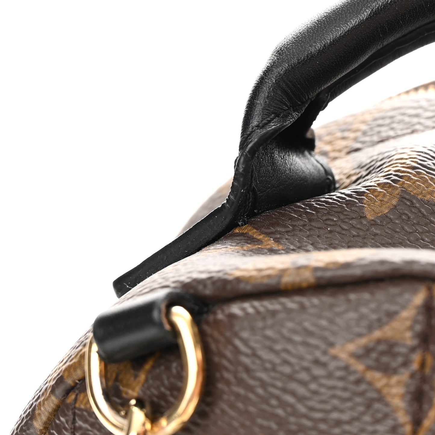 Monogram Palm Springs Backpack Mini