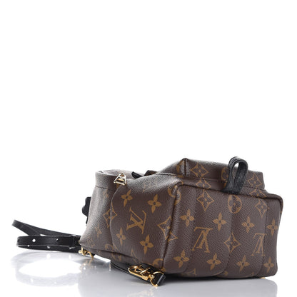 Louis Vuitton Monogram Palm Springs Backpack Mini 4 of 7