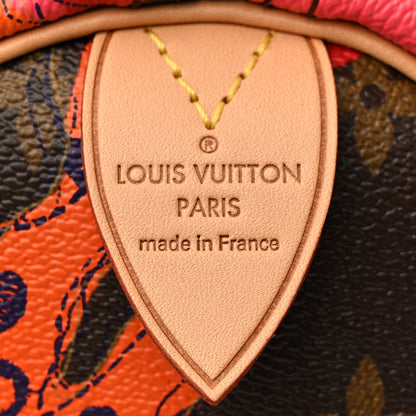 Louis Vuitton Monogram Ramages Speedy 30 Grenade 6 of 10