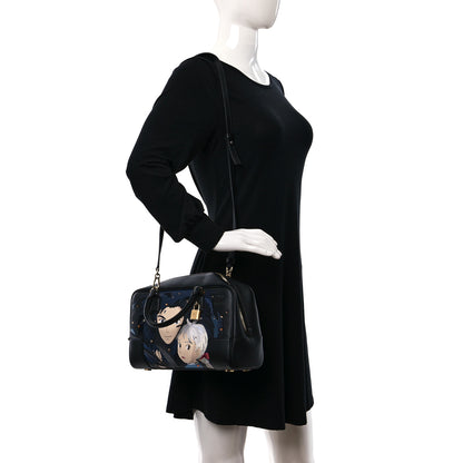 Loewe X HOWLS MOVING CASTLE Calfskin Amazona 28 Black 2 of 8