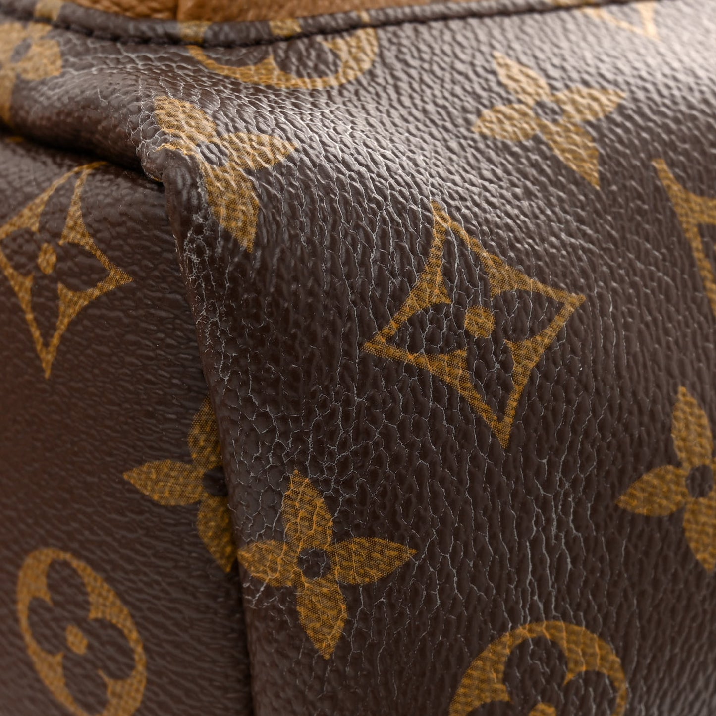 Reverse Monogram Palm Springs Backpack PM