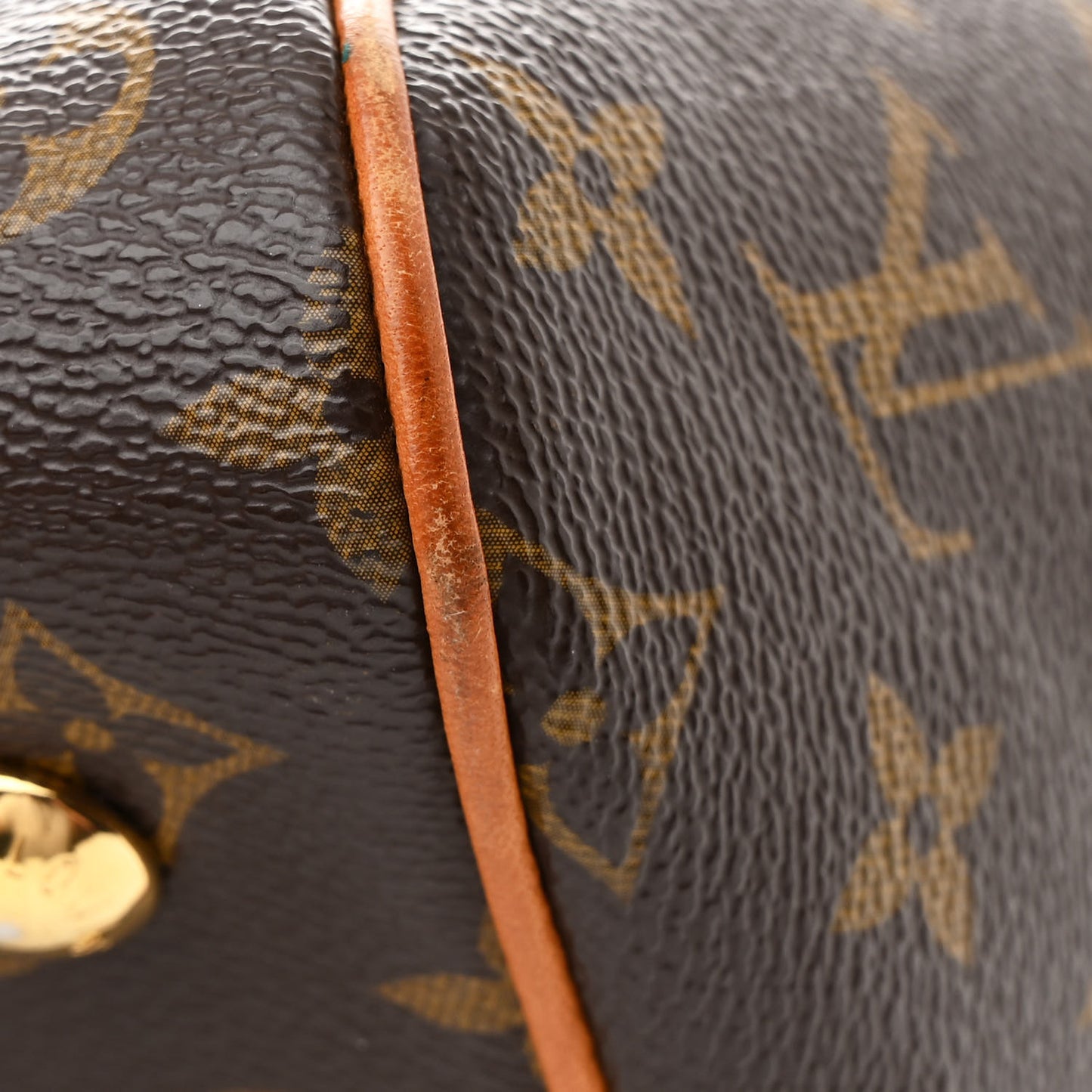 Monogram Tivoli PM