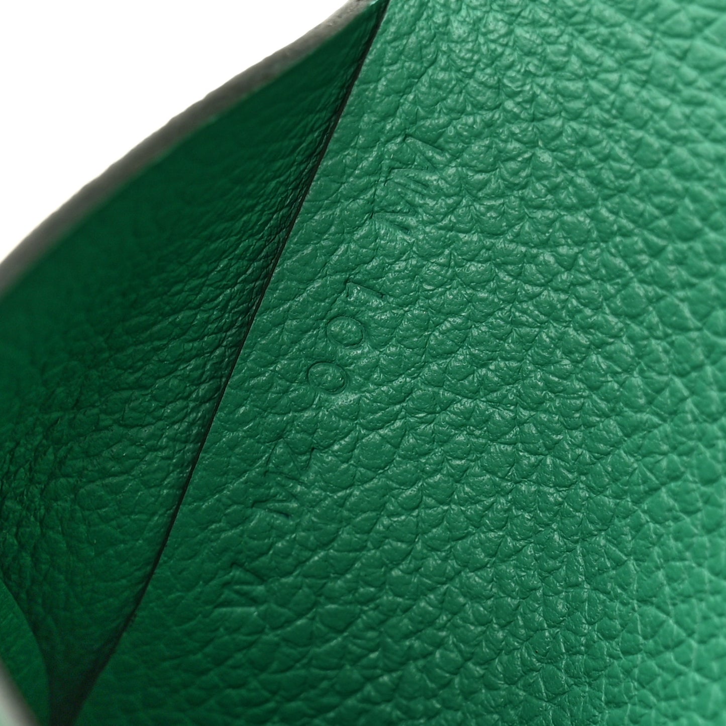 Evercolor Calvi Duo Card Case Vert Vertigo
