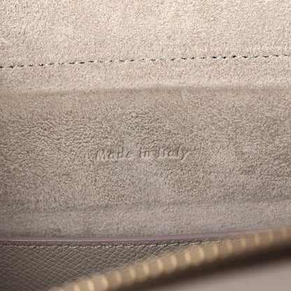 Celine Baby Grained Calfskin Micro Belt Bag Light Taupe 5 of 8