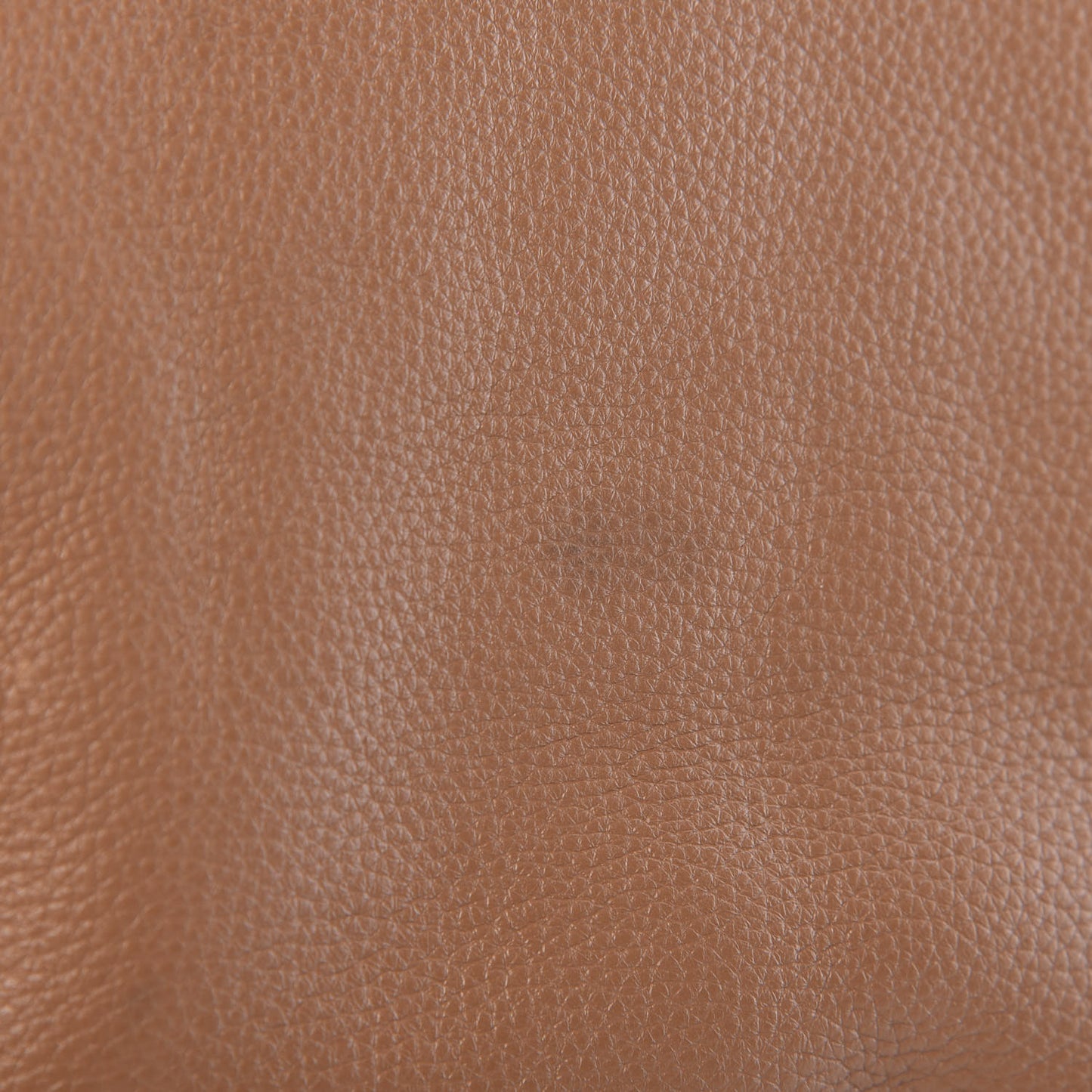 Calfskin Large Marcie Hobo Nut