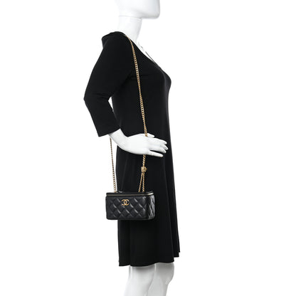 Chanel Lambskin Quilted Small Pillow Crush Vanity Case With Chain Black 2 of 11