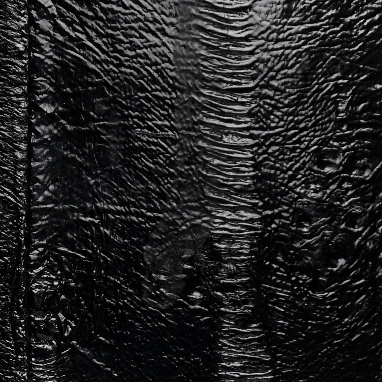 Eel Small Sac De Jour Souple Black