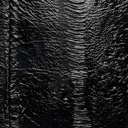Saint Laurent Eel Small Sac De Jour Souple Black 12 of 12