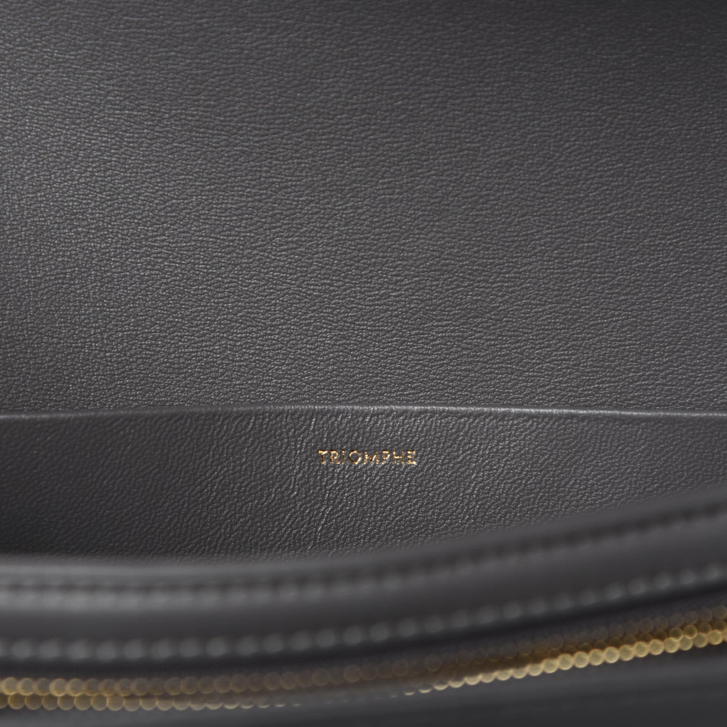 Shiny Calfskin Medium Triomphe Grey