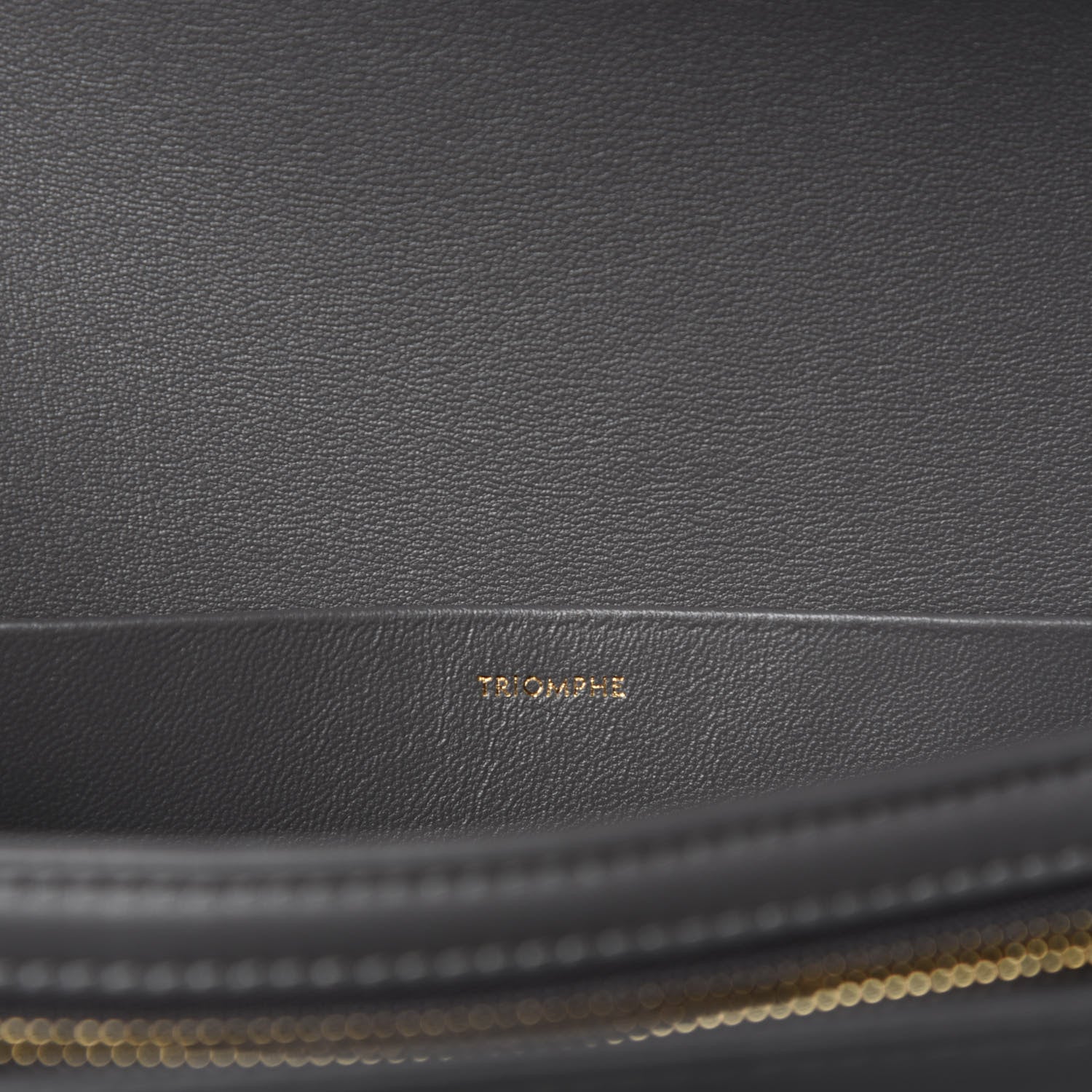 Celine Shiny Calfskin Medium Triomphe Grey 9 of 12