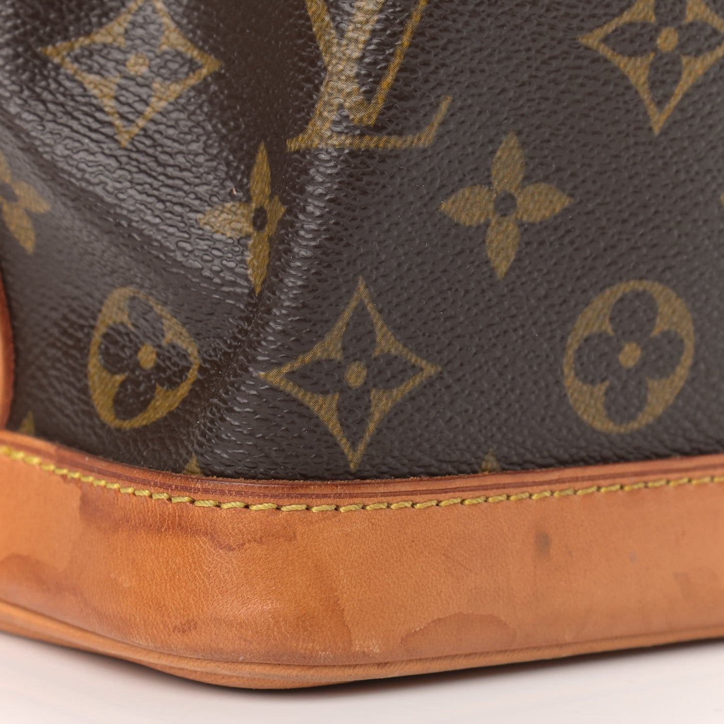 Monogram Mini Noe